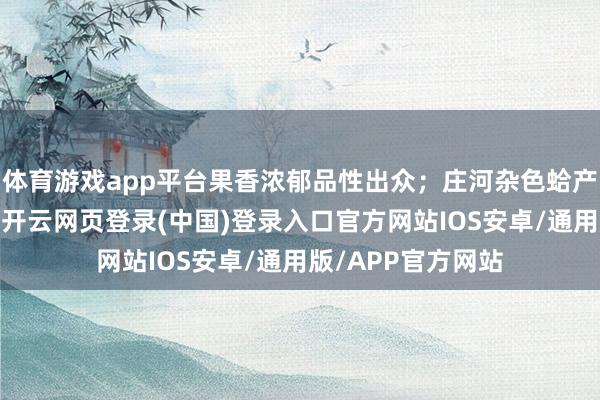 体育游戏app平台果香浓郁品性出众；庄河杂色蛤产自黄海优良海域-开云网页登录(中国)登录入口官方网站IOS安卓/通用版/APP官方网站