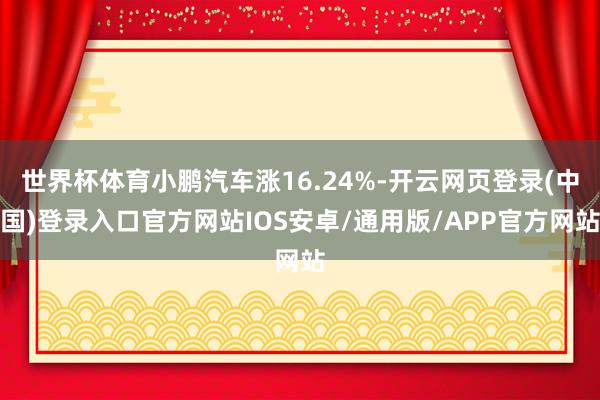 世界杯体育小鹏汽车涨16.24%-开云网页登录(中国)登录入口官方网站IOS安卓/通用版/APP官方网站